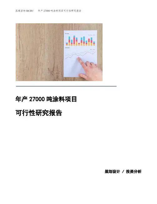 年产27000吨涂料项目可行性研究报告 (1)