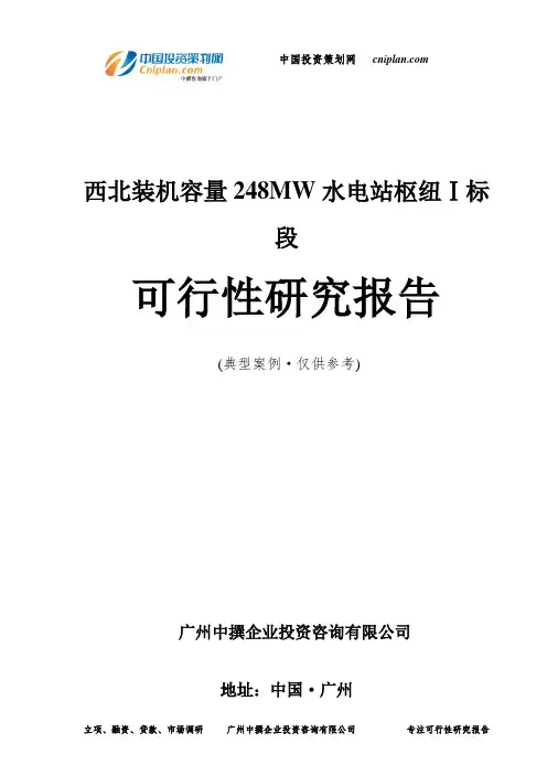 西北装机容量248MW水电站枢纽Ⅰ标段可行性研究报告-广州中撰咨询