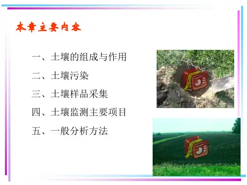 环境监测-5-第五章土壤