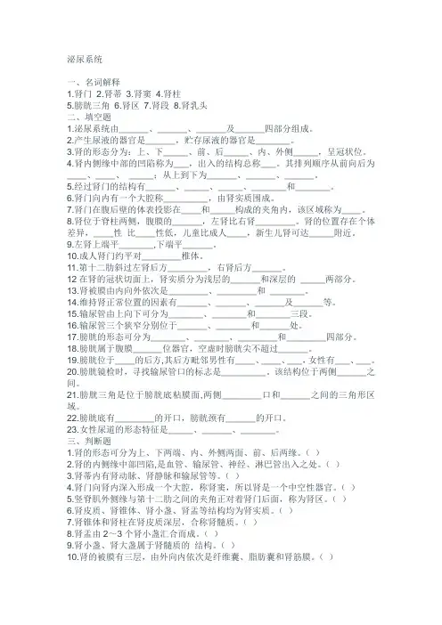临床医学解剖学试题泌尿系统