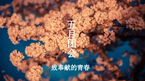 班级团会节目展示PPT-11页PPT文档资料