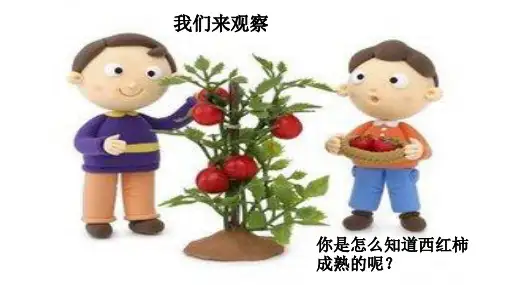 我们来观察