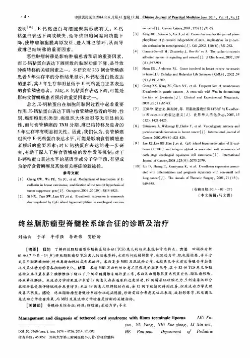 终丝脂肪瘤型脊髓栓系综合征的诊断及治疗