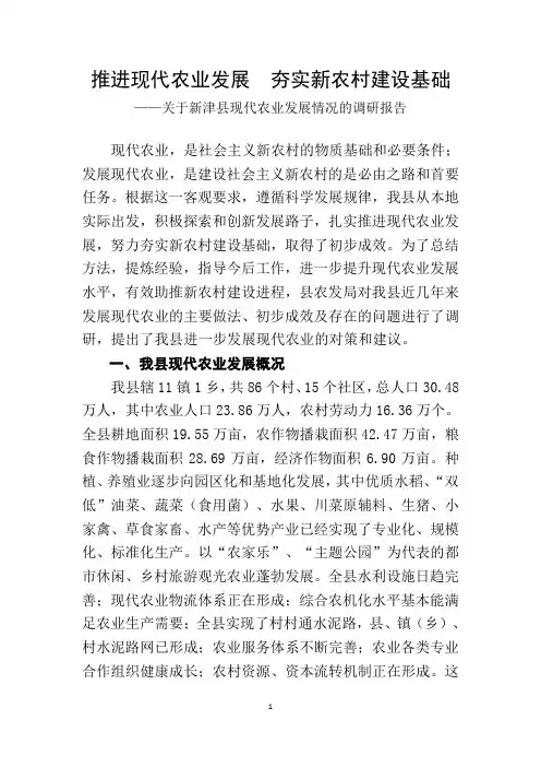 推进现代农业发展  夯实新农村建设基础