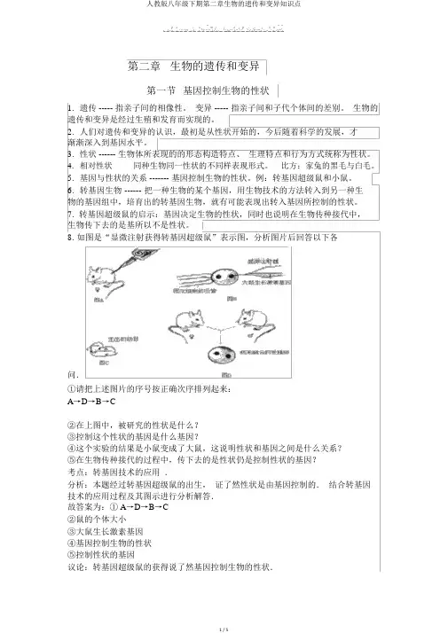 人教版八年级下期第二章生物的遗传和变异知识点