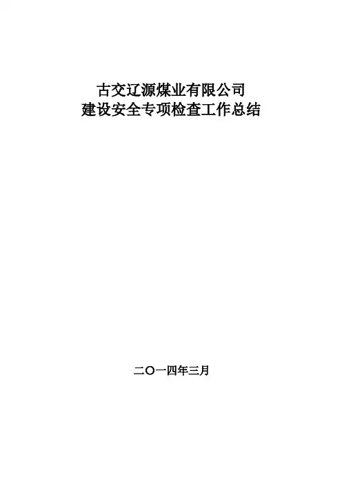 煤矿安全生产大检查专项行动工作总结