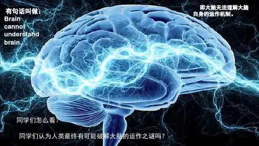 基础生物学课堂展示作业(大脑GPS)