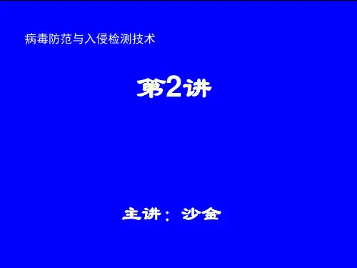 第十章 恶意软件(2)