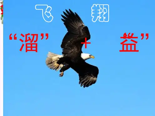 中考复习专题名著 课件