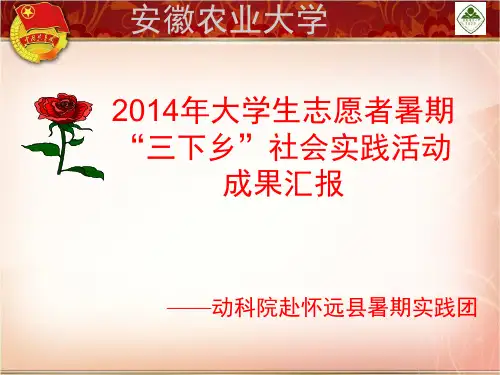 三下乡答辩终