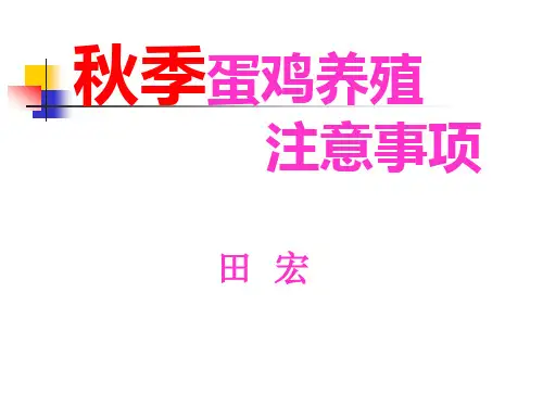 秋季蛋鸡养殖注意事项