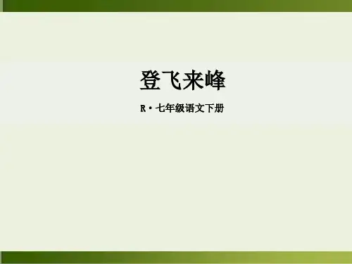 登飞来峰-ppt优秀课件