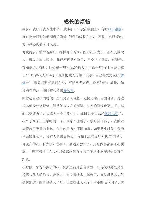 成长的烦恼 2