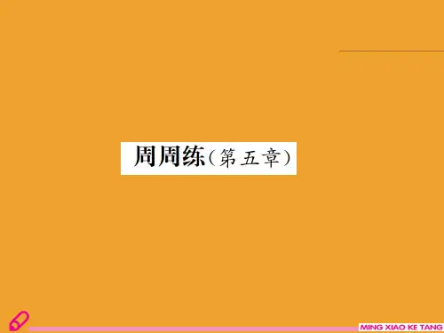 周周练(第五章)