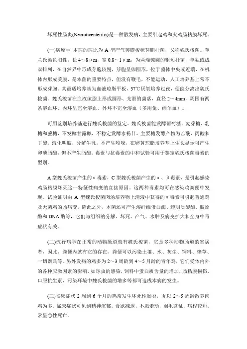 鸡坏死性肠炎