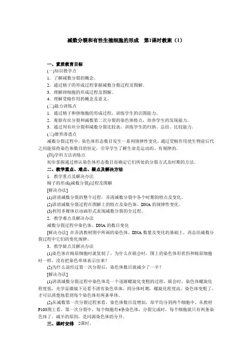减数分裂和有性生殖细胞的形成第1课时教案5