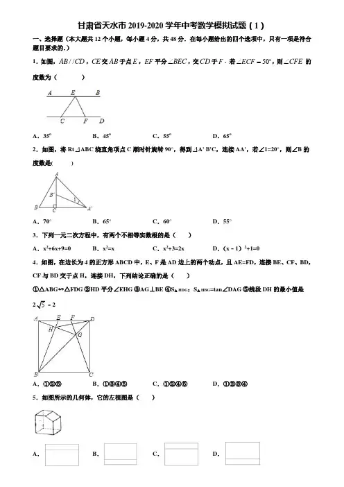 甘肃省天水市2019-2020学年中考数学模拟试题(1)含解析