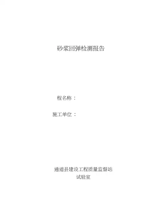 砂浆回弹检测报告