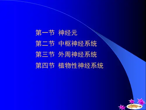 鱼类的神经系统