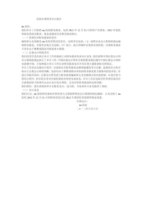 医院年度财务审计报告