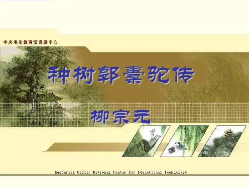 种树郭橐驼传-