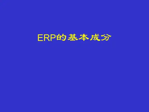 ERP基本成分..