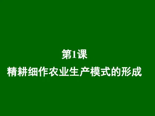 岳麓版高中历史必修二第1课精耕细作农业生产模式的形成