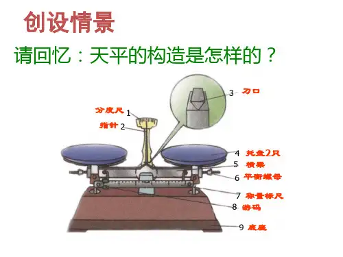 使用天平和量筒
