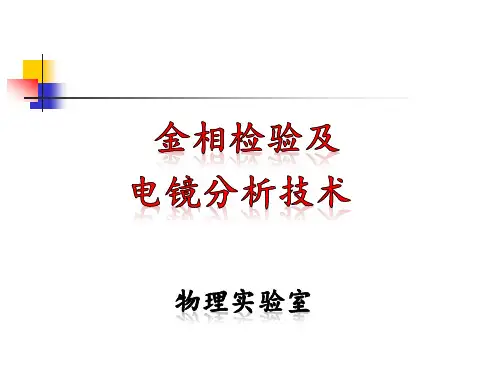 金相检验及电镜分析