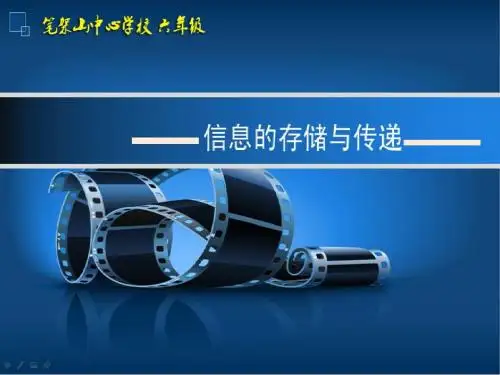 信息的存储与传递