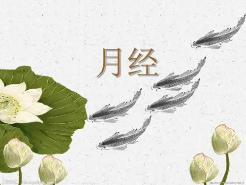 《月经》最终版