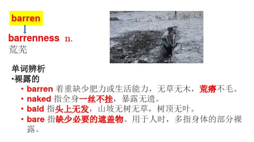 牛津译林版(2020)高中英语选择性必修第一册Unit4 词汇拓展课件