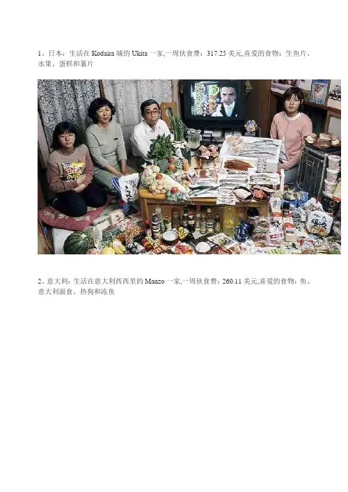 世界各国家庭食品