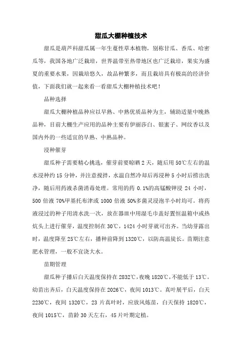 甜瓜大棚种植技术