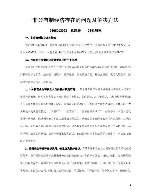 非公有制经济存在的问题及对策