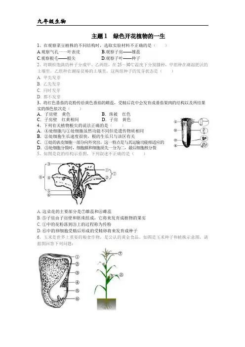 绿色开花植物的一生习题
