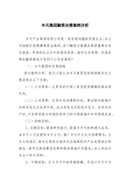 丰天集团融资决策案例分析报告