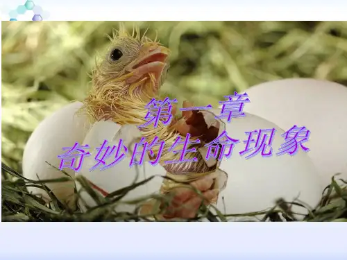 第一章 奇妙的生命现象共29页PPT资料