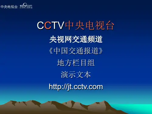 央视网-中国交通报道栏目组