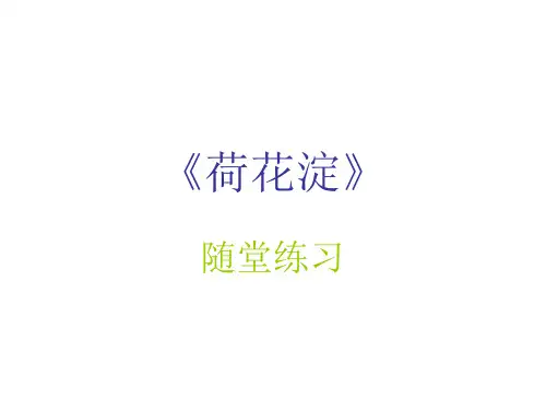《荷花淀》随堂练习课件