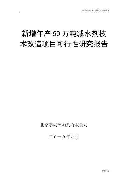 新增年产50万吨减水剂技术改造项目可行性研究报告