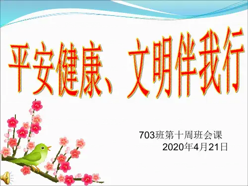 平安健康,文明伴我行 班会课