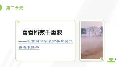 - 《喜看稻菽千重浪》课件(1)