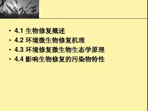 污染环境的生物修复原理