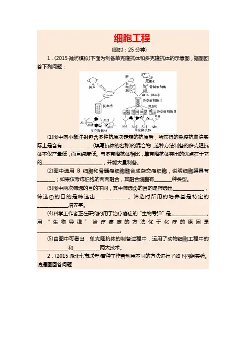 2020年高考生物二轮专题复习试卷： 细胞工程