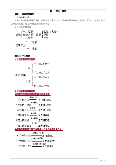 中医基础理论-经络