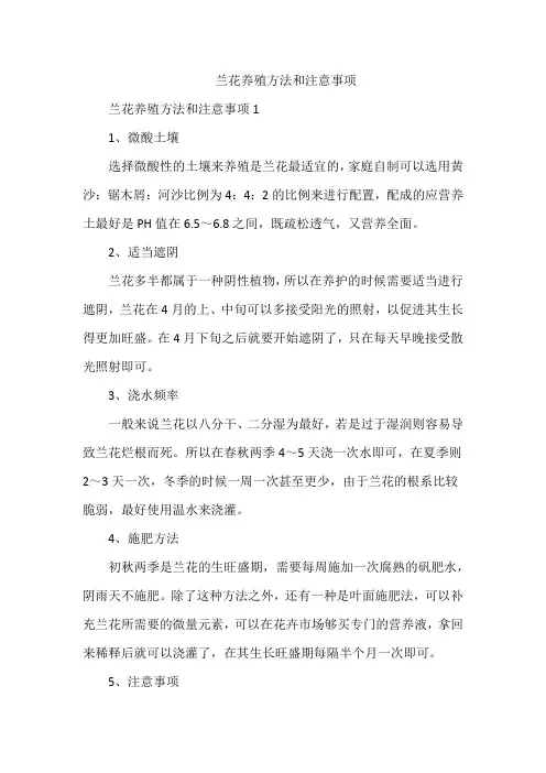 兰花养殖方法和注意事项