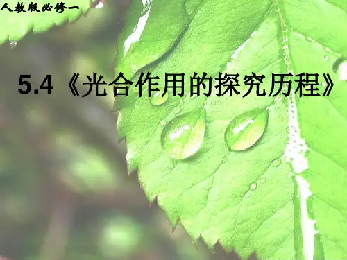 人教版高中生物必修1:《光合作用的过程》