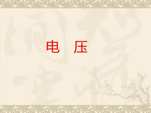 电压(物理课件)(20)