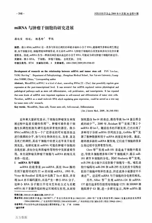 miRNA与肿瘤干细胞的研究进展